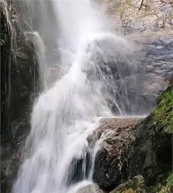 特朗普回击奥巴马批评：他极其无能游戏画面